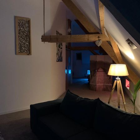 Nid De Cigogne Apartment Illhaeusern Exterior photo